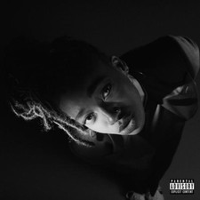 Little Simz Grey Area (Vinyl)