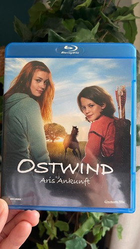 Ostwind der große orkan - ostwind,