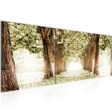 Wandbilder Set Wald Landschaft
