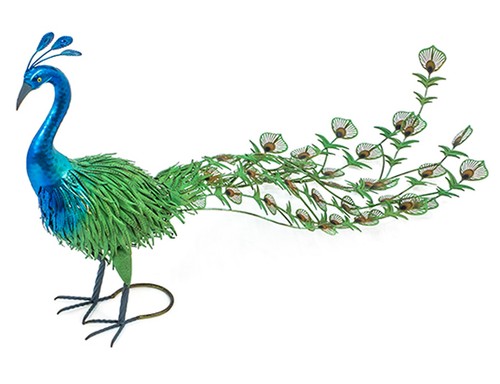 Pfau mit schleppe - 150, cm