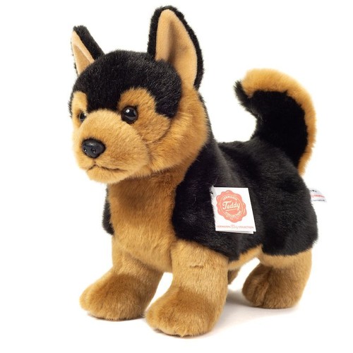 Schäferhund stehend hund - dt.,