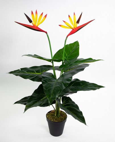 Strelitzie real touch 60cm - touch,
