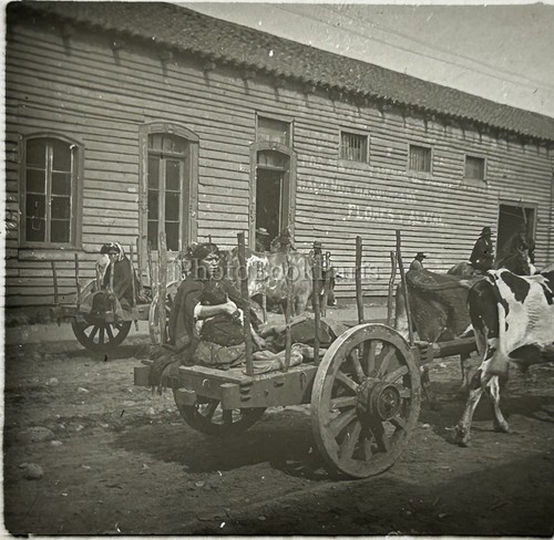Südamerika reise c1905 foto - sÜdamerika,