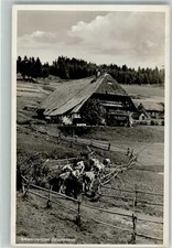 38097682 - Schwarzwald