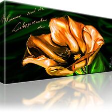 Mohn Blumen Natur Bild Bilder Leinwand Keilrahmen Wandbild Kunstdruck