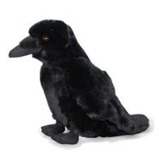 Rabe Krähe Kolkrabe