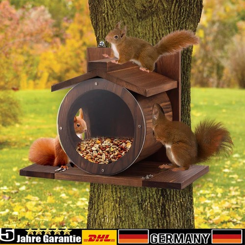 Eichhörnchen futterhaus holz - eichhörnchen,