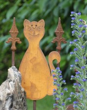 Katze Miez Zaunhocker