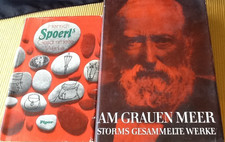Am Grauen Meer - Storms &