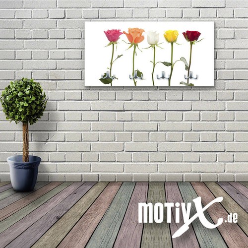 Garderobe rose blume pflanze - rose,