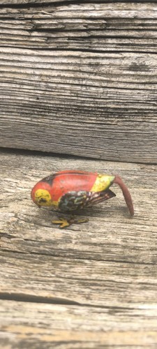 Vermutlich köhler - vermutlich,