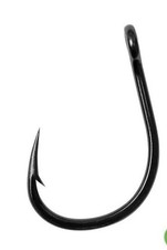 Wallerhaken Welshaken Catfish