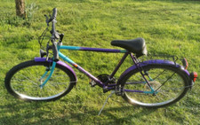 Mountainbike Herrenrad Hanseatic 26zoll RH51cm Retro Oldtimer Youngtimer  Sammle