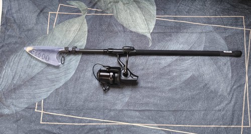Karpfenangeln mit rolle - mit,