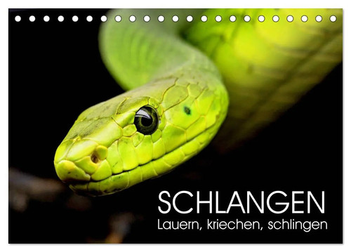 Rose hurley schlangen - hurley, |