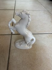 Pferd Weiß Springend