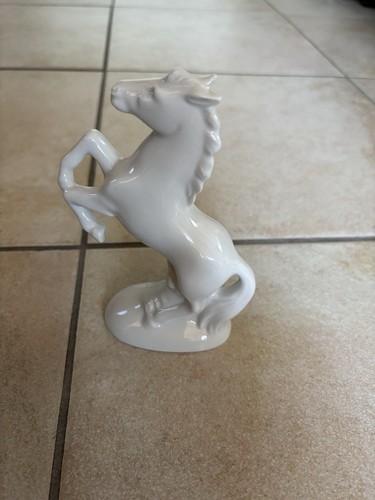 Pferd weiß springend - pferd,