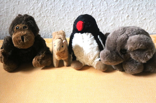 Zootiere konvolut kamel - 4,