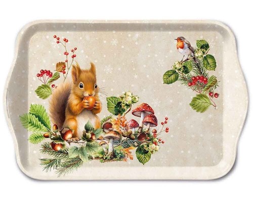 Tablett tray fruit - tray, collector