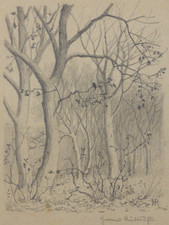 Hermann Traugott Rüdisühli (1864-1944) Bleistiftzeichnung Waldstück Vogel (151)