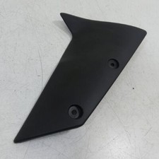 Kawasaki ZX-10R Verkleidung