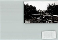 40060037 - 3538 Meerhof Wooden