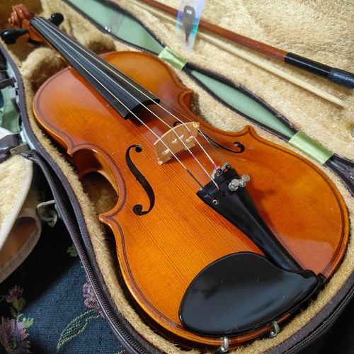 Karl hofner meistergeige 53cm - hofner,