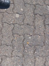 pflastersteine gebraucht S-Form 20 qm