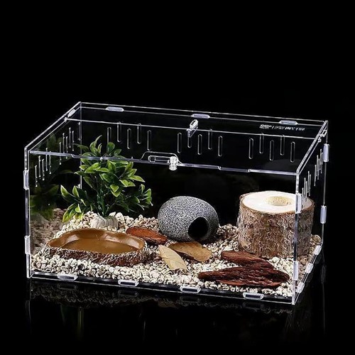 Mini reptilien terrarium acryl - mini-reptilien-terrarium,