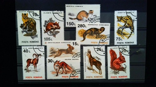 Rumänien wildtiere - ʘ,