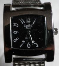 Silber/Schwarze CaribiC Waves TCM Quartz Analog Armbanduhr