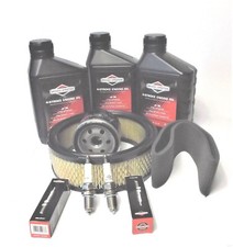 Wartung Briggs Stratton Motor