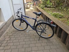 Giant Cold Rock Classic Style