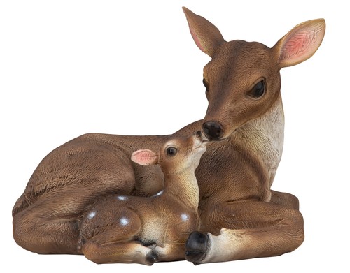 Reh mama mit rehkitz - mama,