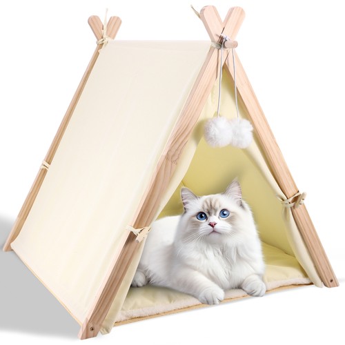 Katzen welpen zelt bett - welpen,