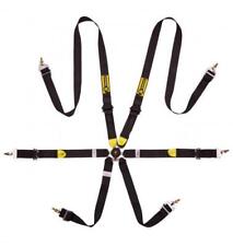 6 Punkt FIA HANS Gurt