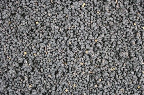 1000kräuter holunderbeeren - 1000kräuter,