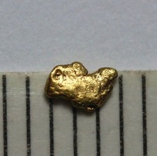 1 GOLDNUGGET- GOLD NUGGET aus ALASKA!