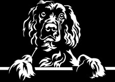 SPRINGER SPANIEL Aufkleber -