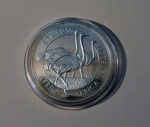 Silber strauss bedrohte - 1, oz