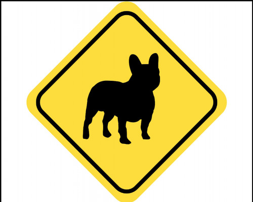 Französische bulldogge - französische,