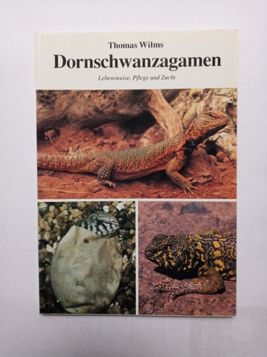 Dornschwanzagamen thomas wilms - dornschwanzagamen,