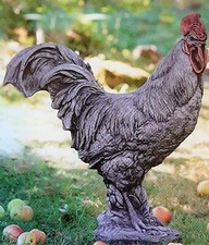 Großer Hahn Gockel Rooster
