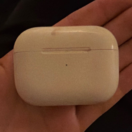 Apple airpods pro ladecase - pro,
