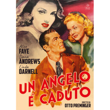 Engel ist gefallen (Ein) [DVD