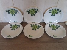 Kuchenteller (6 St.) Grüne