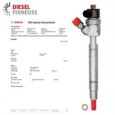 Einspritzdüse Injektor