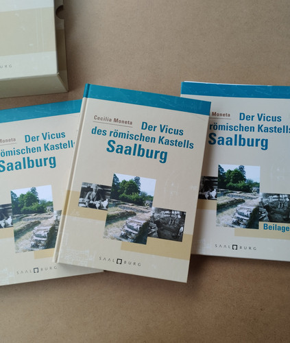 Der vicus des - vicus,