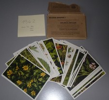 Seltene Zigarettenbilder, Cigaretten Bilderdienst Hamburg v. 1942