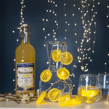 LED Lichterkette Zitrone 10